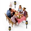 FlameSound SY126 Bluetooth Outdoor LED Speaker 10W 3D Surround-2